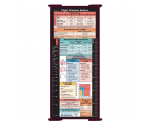 WhiteCoat Clipboard® Trifold - Wine Flight Medic Edition